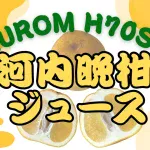 ヒューロムH70STで河内晩柑のジュースを搾ってみた!味、搾り滓、洗浄など口コミ