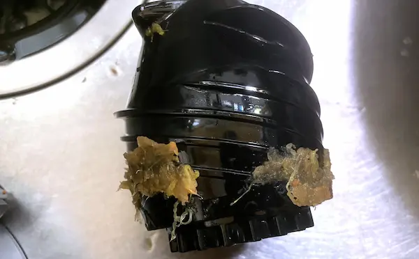 HUROM H30ST スクリューについた搾りカス